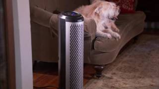 Holmes Air Purifier Tower with aer1 Allergen Filters on QVC