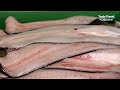 월매출 5억 손질하는 장어만 6000마리 전국 3대 장어 직판장, 숯불 장어구이, Amazing Eel restaurant that fillets 6000 eels a month