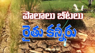 సాగు నీరందక.. బీటలు వేసిన పొలాలు | Paddy Crops Drying Up Due To Irrigation Water Lack | Vizianagaram