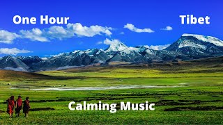 Tibet Meditation Music - Relax Mind Body - Calming Music - Relaxing Music - One Hour