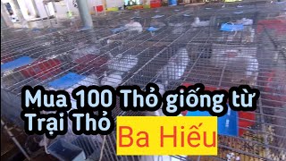 Xem tận mắt 100 Thỏ giống được mua từ Trại Thỏ Ba Hiếu Củ Chi ở Chợ Gạo Tiền Giang