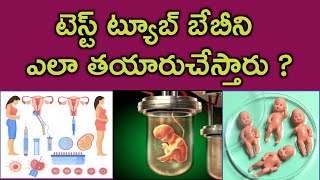 టెస్ట్ ట్యూబ్ బేబీని ఎలా తయారుచేస్తారు | Test tube baby process in telugu | IUI, IVF treatment