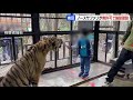 無許可で建設した動物園が20年間営業　札幌市が指導繰り返すも運営会社は従わず…除却命令含め対応検討