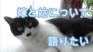 嫁と姑について語りたい