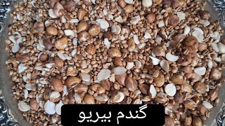 گندم بیریو وطنی (افغانستانی) | Gandom Birio