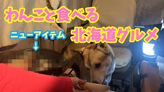 【わんこと女子の車ご飯】愛犬と食べる北海道グルメ🍽4K  Hokkaido gourmet to eat with pet dog