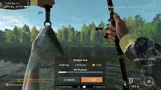 Unique Asp   Akhtuba River - Russia - Fishing Planet -  xbox -