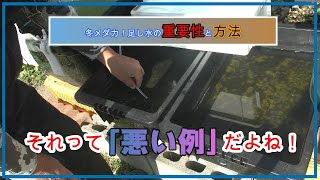 冬のメダカの足し水！こんなやり方は駄目だ！気を緩めるとこんな事に！