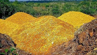 They Dump 12,000 Tons Of Orange Peels In the Forest, Years Later They Came Back And...