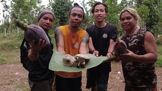 EP86 - KULAWONG PUSO ng SAGING at PINAES na Kabuteng SAGING | San Pablo City, Laguna