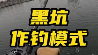 如果黑坑老是钓不好，就记住两个字：模仿~ 黑坑鳜鱼 鳜鱼正钓 控饵手法 尼尔路亚 蝶舞虾