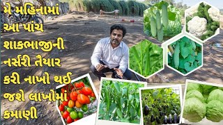 મે મહિનામાં આ પાંચ શાકભાજીની નર્સરી તૈયાર કરી નાખો થઈ જશે લાખોમાં કમાણી || નવો બિઝનેસ આઈડિયા