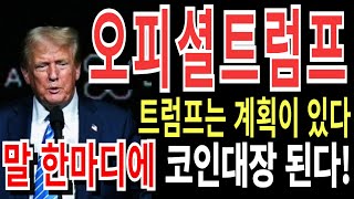 [오피셜트럼프]트럼프는 계획이 있따!! 말 한마디에 25년도 대장코인됩니다!!