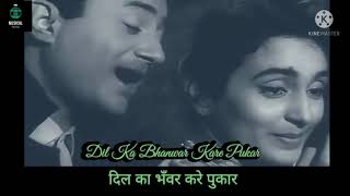 Dil Ka Bhanwar Kare Pukar Dual Lyrical Video | Best Of Trio S. D. Burman, Mohd Rafi & Hasrat Jaipuri