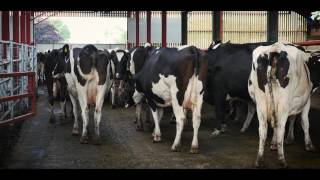 Delaval Promotional Video