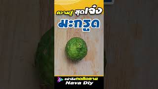 มะกรูด คนรักสุขภาพ ขาดไม่ได้ | Nava DIY