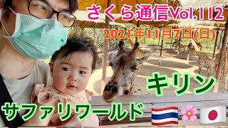 サファリワールドのキリンゾーン。なかなかの見ごたえ🌸さくら通信Vol.112🌸2021年11月7日(日)　生後11か月と2日　タイのバンコクにある動物園