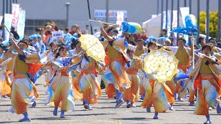 〜夢源風人〜　「soleil」　第20回 泉州yosakoiゑぇじゃないか祭り！