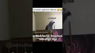 Sondaki aşkimm demesi 😂😂 #küfür  #papağan #kuş #komedyysahne #komedi #komikvideolar #fyp #fypシ