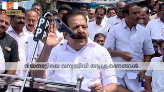 വയനാട്ടിലെ വന്യജീവി ആക്രമണം; രാപകല്‍ സമരം ആരംഭിച്ച് UDF | Wayanad | Protest | UDF