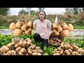 Video Full: Harvesting JICAMA, Harvesting PEANUTS...Making garden / Cooking