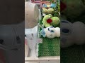 バニプッチをタグかけget狙ってみたら... クレーンゲーム ufoキャッチャー ポケモン ポケットモンスター ぬいぐるみ