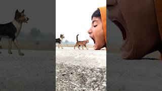 All Domestic Animals in My Mouth😅😅  Funny vfx magic video