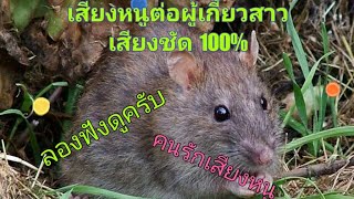 เสียงต่อหนูพุก 100%@kantinside168 Kant