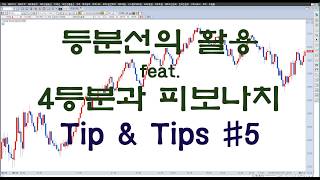 핑크캣의 주식강의실 등분선을 이용하자 Tip \u0026 Tips #5