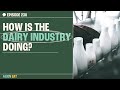 How is the Dairy Industry Doing Right Now? | Ecologist Nicholas Carter | The Proof Clips EP 230