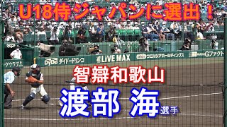 U18侍ジャパンに選出　智辯和歌山　渡部海選手　国学院栃木戦　盗塁阻止のシーン＆全打席（打球を追えてない場面があります）