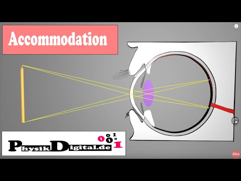 Which part of eye helps to focus on far away object as well as nearby object?