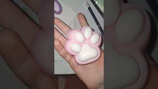 Taba paw squishy!!