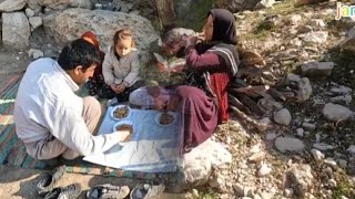 A delicious breakfast in the heart of nature: Bringing firewood in the Garmsir nomadic region😋🏞