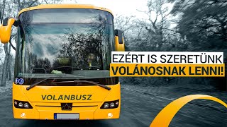 2020 #Volánbusz összefoglaló 🚦🚍