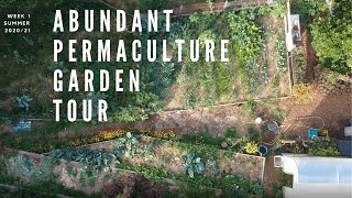 Abundant Permaculture Garden Tour #permaculture #adundant #vegetablegarden #selfsufficient #harvest