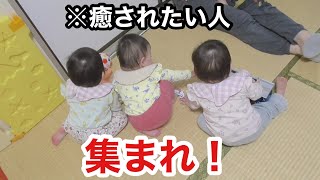 【可愛すぎる三つ子】癒されたい方はこの動画を見てください♪