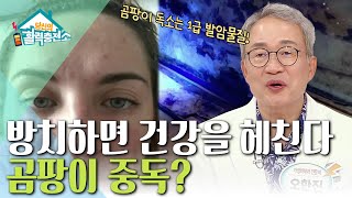 당신의 활력충전소 - 곰팡이, 초파리 퇴치법_#001