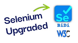 Selenium WebDriver BiDi: Mock API Responses