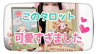 【タロット開封動画💗】ルナズラスカルタロット✨可愛すぎます💕