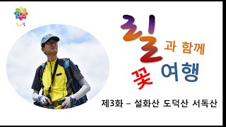 [모야모 회원 영상] 릴과 함께 하는 꽃여행 제3화 설화산, 도덕산,서독산