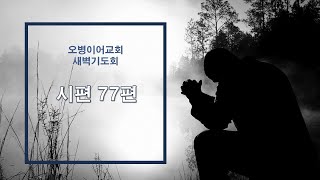 오병이어교회 새벽기도회/시편 77편