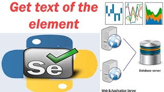 19 Selenium with python -- Get text of the element