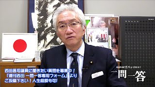 「MMTは、外国資本の入った日銀であっても問題はありませんか？」週刊西田一問一答おまけ