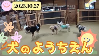 犬の幼稚園　まとめ2023/10/27　ドッグスクール縁島根県松江市宍道町　犬のしつけ　トレーニング　しつけ教室　出張　ドッグラン（講習制）　ドッグフリーキャンプ場　犬の保育園