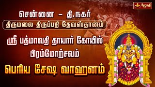 🔴LIVE: சென்னை தி.நகர் திருமலை திருப்பதி தேவஸ்தானம் ஸ்ரீ பத்மாவதி தாயார் கோயில் - பெரிய சேஷ வாஹனம்