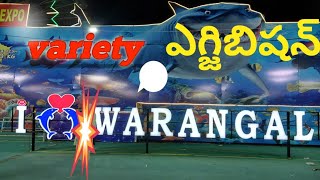 చేపల (Fish) తో ఎగ్జిబిషన్ in Warangal | @palleturuoriginal