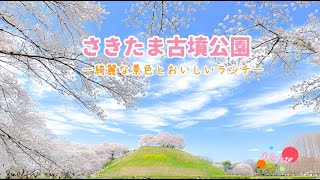 【 また旅🐾】桜の名所100選！ 埼玉観光  トップ10に入らないのが不思議なくらい素敵な絶景！埼玉古墳公園に行ってきた