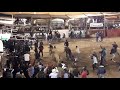 monta de toros en cayambe 2019