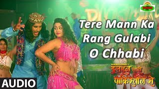 'Tere Mann Ka Rang Gulabi O Chhabi' Full Audio Song | Dulhan Chahi Pakistan Se | Pradeep Pandey